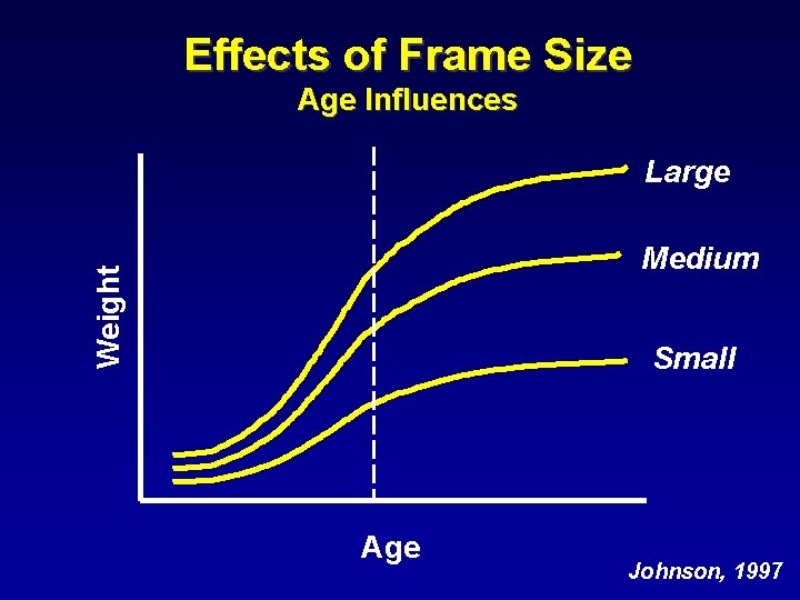 Effects of Frame Size Age Influences Large Weight Medium Small Age Johnson, 1997 