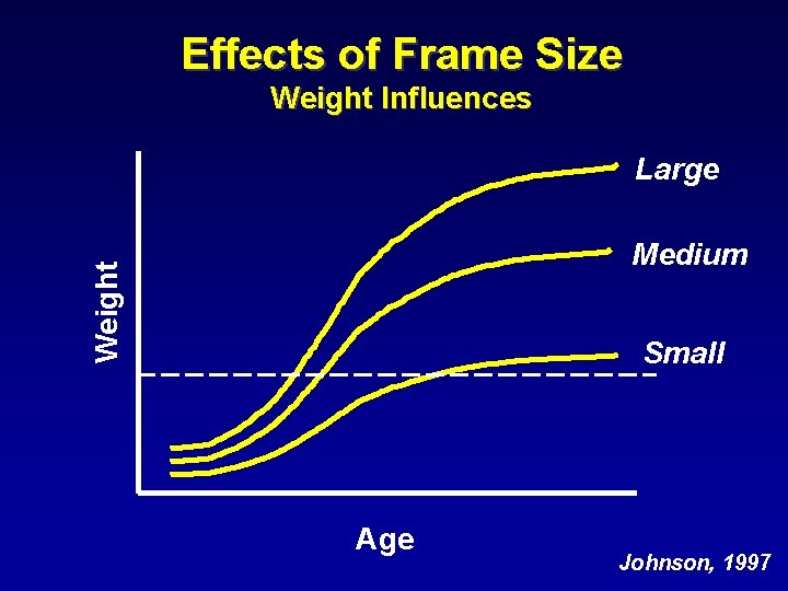 Effects of Frame Size Weight Influences Large Weight Medium Small Age Johnson, 1997 