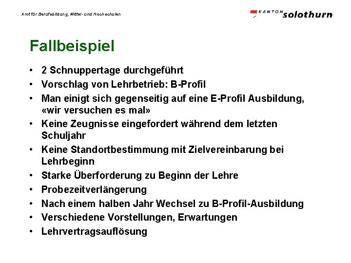 Amt für Berufsbildung, Mittel- und Hochschulen Fallbeispiel • 2 Schnuppertage durchgeführt • Vorschlag von