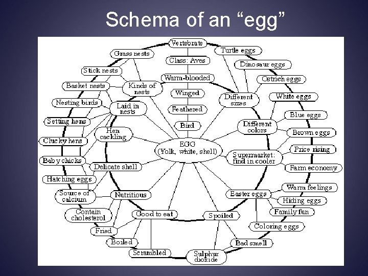 Schema of an “egg” 