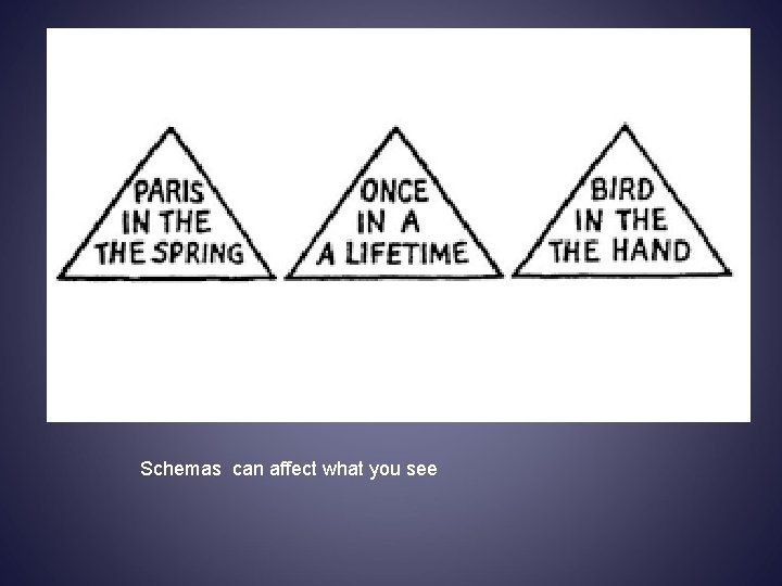 Schemas can affect what you see 