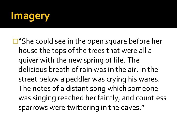 Imagery �“She could see in the open square before her house the tops of