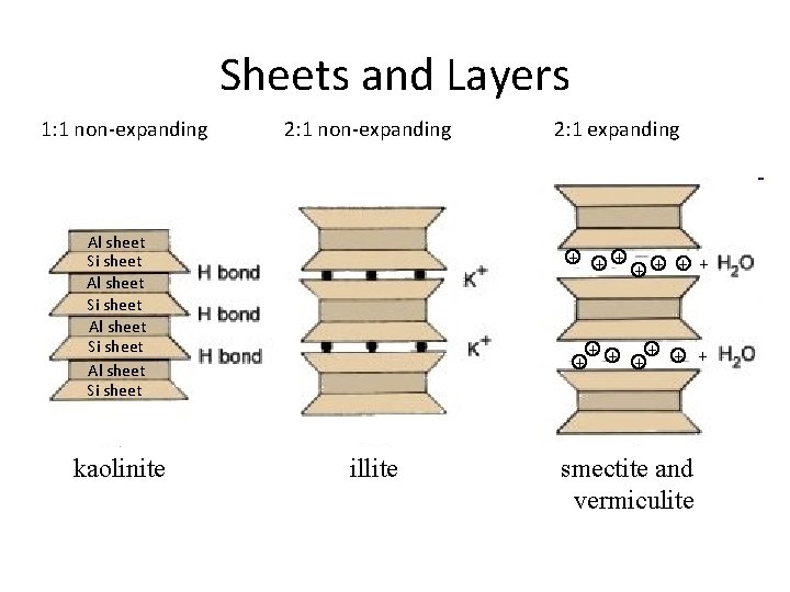 Sheets and Layers 1: 1 non-expanding 2: 1 non-expanding Al sheet Si sheet kaolinite