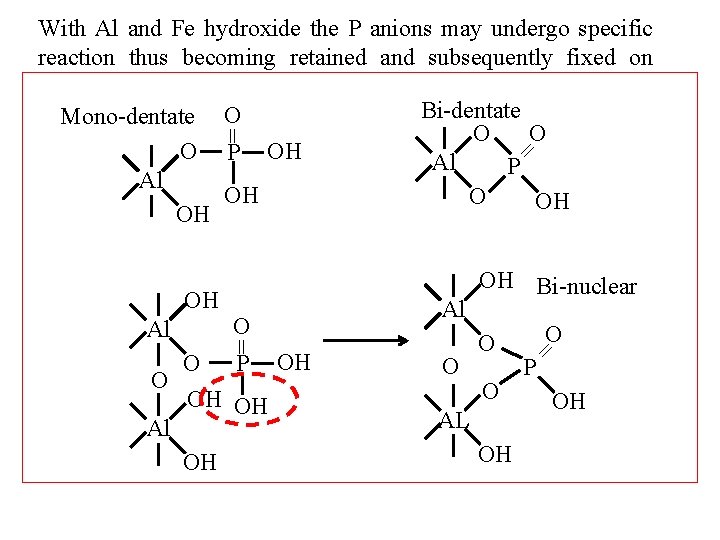 O Al O O P OH OH OH Al OH O OH Bi nuclear
