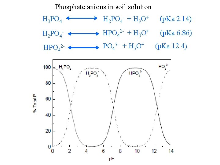 Phosphate anions in soil solution H 3 PO 4 H 2 PO 4 +