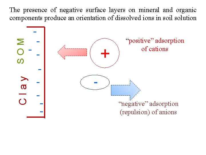 - - Clay SOM The presence of negative surface layers on mineral and organic