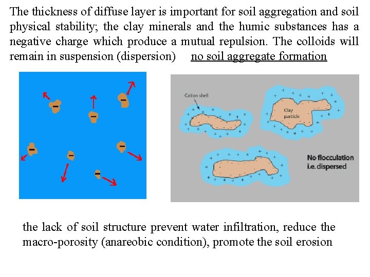 The thickness of diffuse layer is important for soil aggregation and soil physical stability;