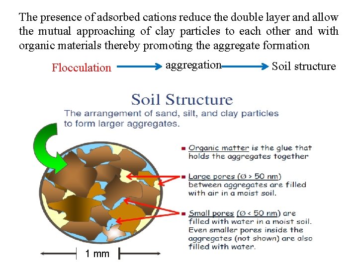 The presence of adsorbed cations reduce the double layer and allow the mutual approaching