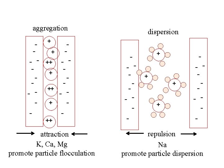 aggregation - - - + + ++ + - - - ++ attraction K,