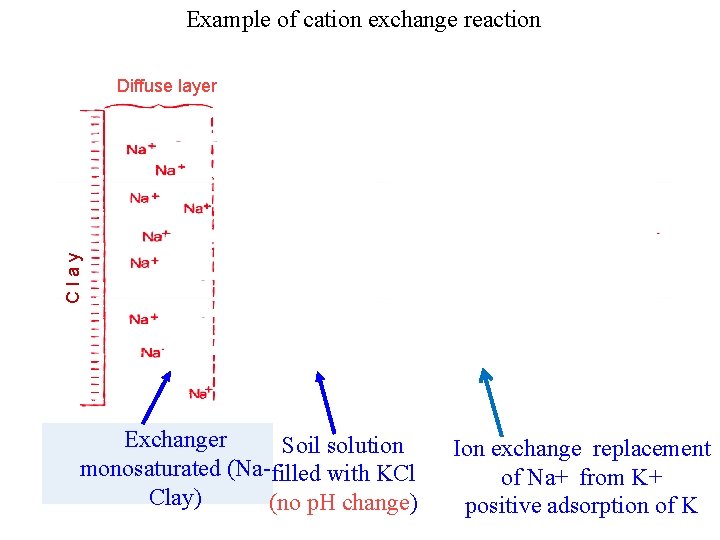 Example of cation exchange reaction Clay Diffuse layer K+ K+ Exchanger Soil solution monosaturated