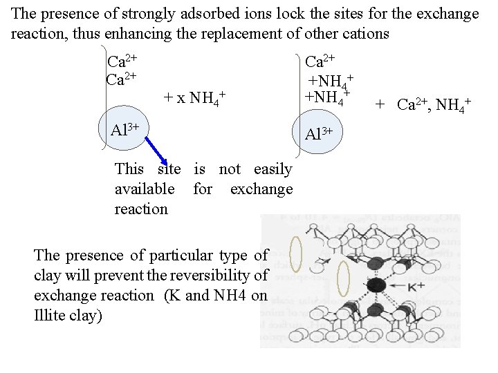 The presence of strongly adsorbed ions lock the sites for the exchange reaction, thus