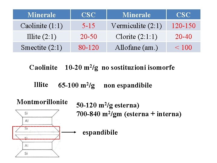 Minerale Caolinite (1: 1) Illite (2: 1) Smectite (2: 1) Caolinite Illite CSC 5