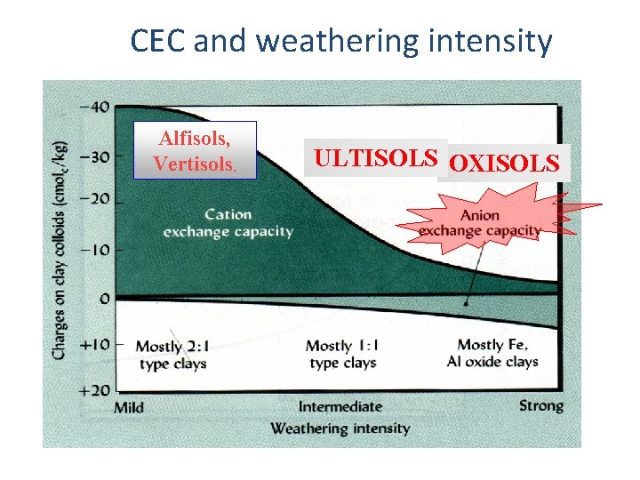 CEC and weathering intensity Alfisols, Vertisols, ULTISOLS OXISOLS 