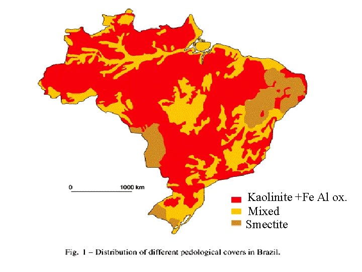 Kaolinite +Fe Al ox. Mixed Smectite 