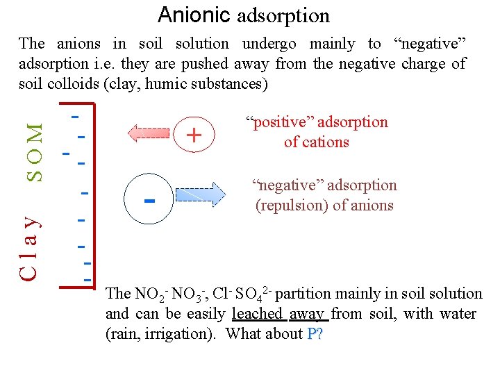 Anionic adsorption C l a y S O M The anions in soil solution