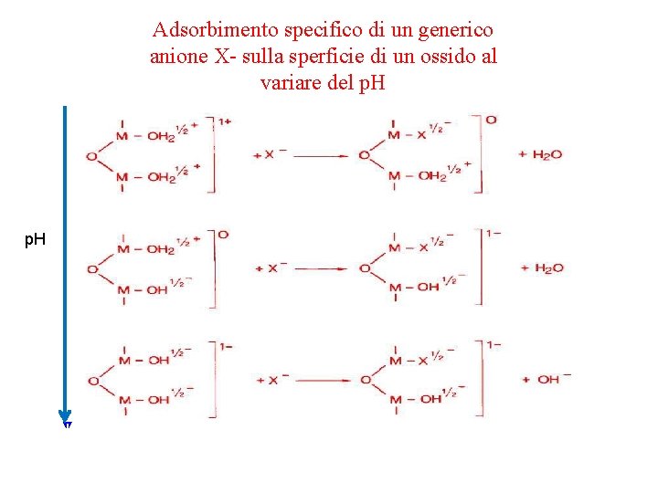 Adsorbimento specifico di un generico anione X sulla sperficie di un ossido al variare