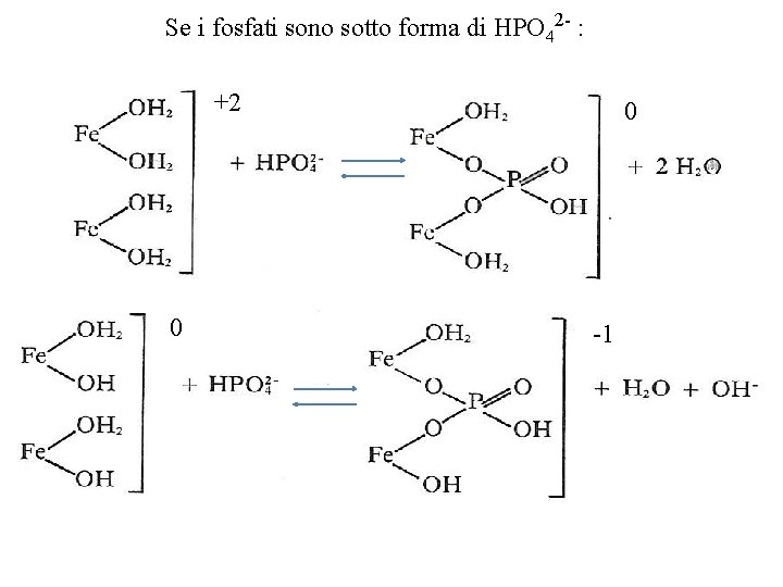 Se i fosfati sono sotto forma di HPO 42 : +2 0 0 1