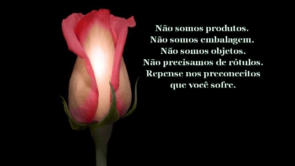 Não somos produtos. Não somos embalagem. Não somos objetos. Não precisamos de rótulos. Repense