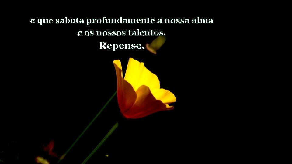 e que sabota profundamente a nossa alma e os nossos talentos. Repense. 