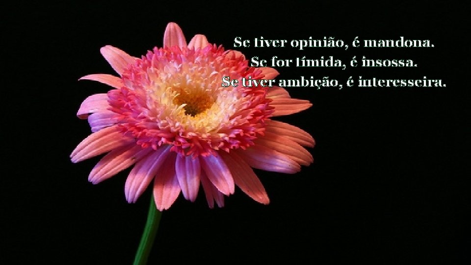 Se tiver opinião, é mandona. Se for tímida, é insossa. Se tiver ambição, é
