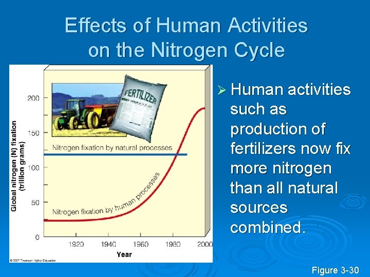 Effects of Human Activities on the Nitrogen Cycle Ø Human activities such as production