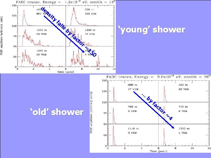 de ns i ty fa lls Young & Old Shower by fa ct or