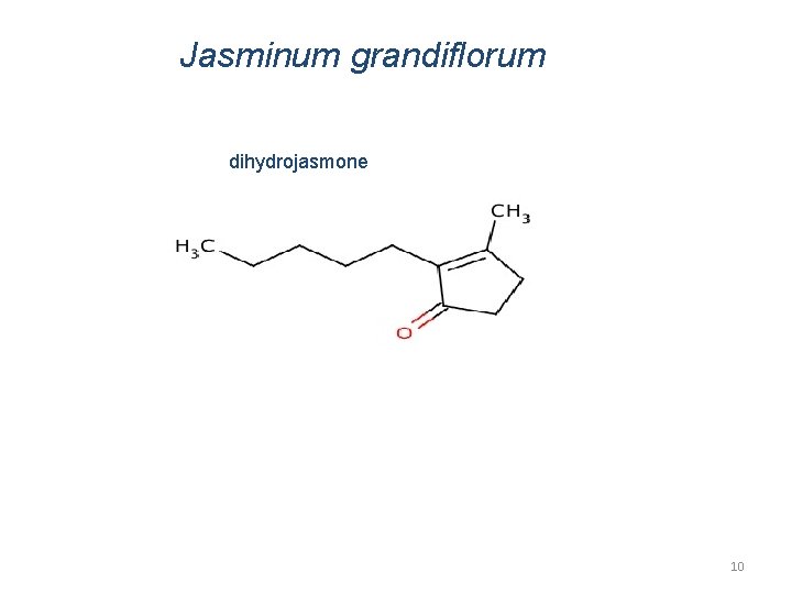 Jasminum grandiflorum Cis-jasmone dihydrojasmone 10 