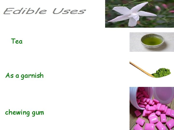 Tea As a garnish chewing gum 