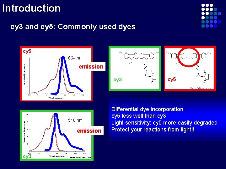 Introduction cy 3 and cy 5: Commonly used dyes cy 5 664 nm emission