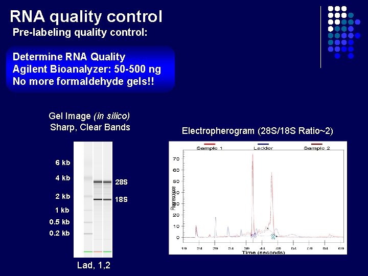 RNA quality control Pre-labeling quality control: Determine RNA Quality Agilent Bioanalyzer: 50 -500 ng