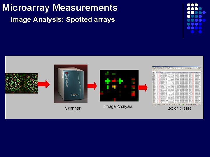 Microarray Measurements Image Analysis: Spotted arrays Scanner Image Analysis . txt or. xls file