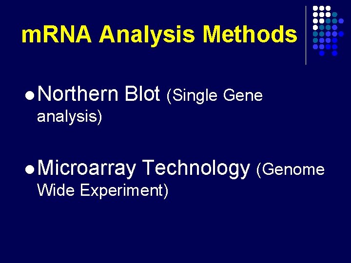 m. RNA Analysis Methods l Northern Blot (Single Gene analysis) l Microarray Technology (Genome