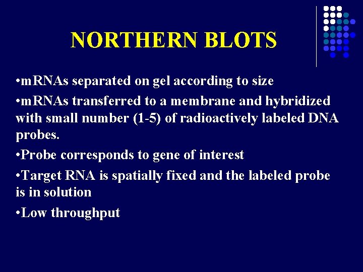 NORTHERN BLOTS • m. RNAs separated on gel according to size • m. RNAs