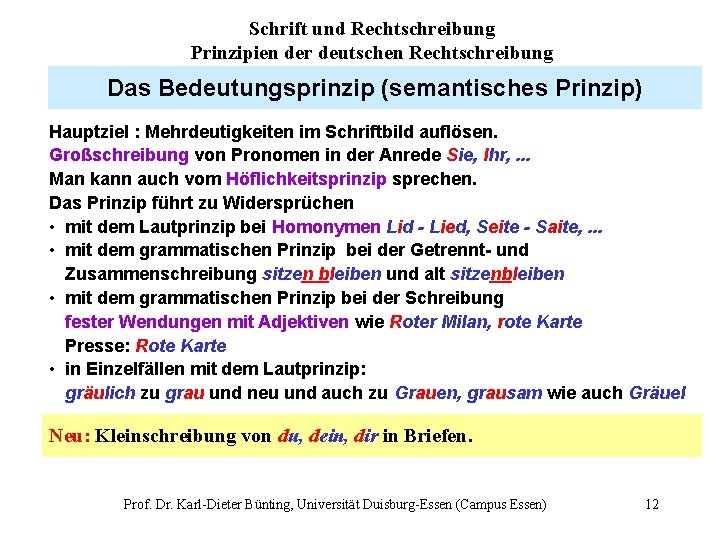 Schrift und Rechtschreibung Prinzipien der deutschen Rechtschreibung Das Bedeutungsprinzip (semantisches Prinzip) Hauptziel : Mehrdeutigkeiten