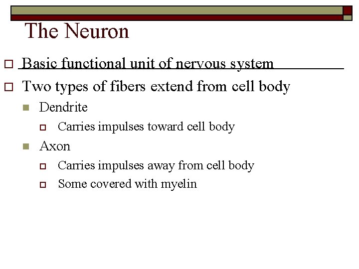 The Neuron o o Basic functional unit of nervous system Two types of fibers