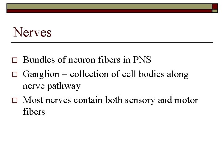 Nerves o o o Bundles of neuron fibers in PNS Ganglion = collection of