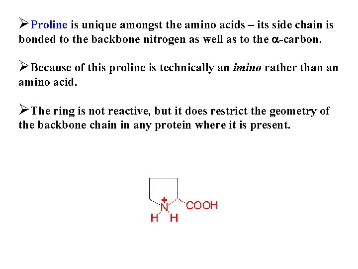 ØProline is unique amongst the amino acids – its side chain is bonded to