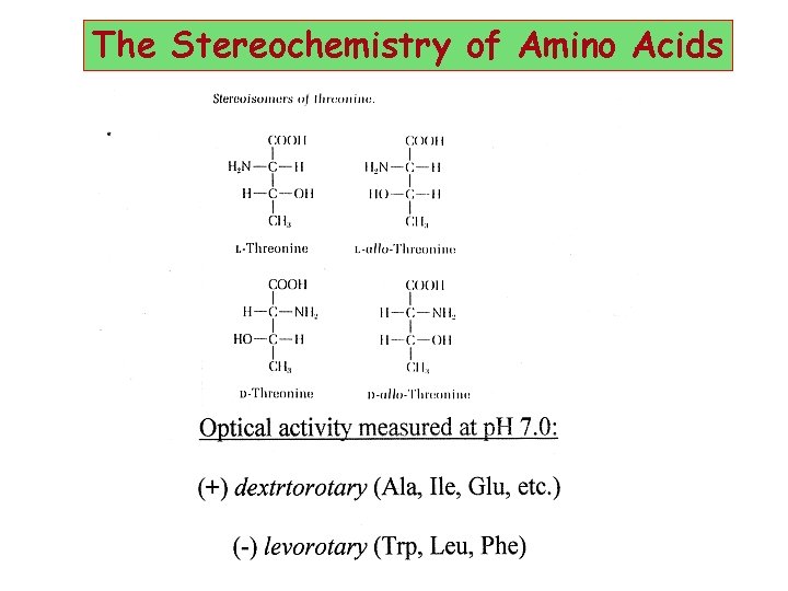 The Stereochemistry of Amino Acids 