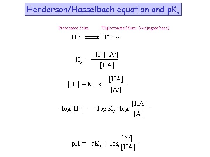 Henderson/Hasselbach equation and p. Ka Protonated form Unprotonated form (conjugate base) HA H++ A-