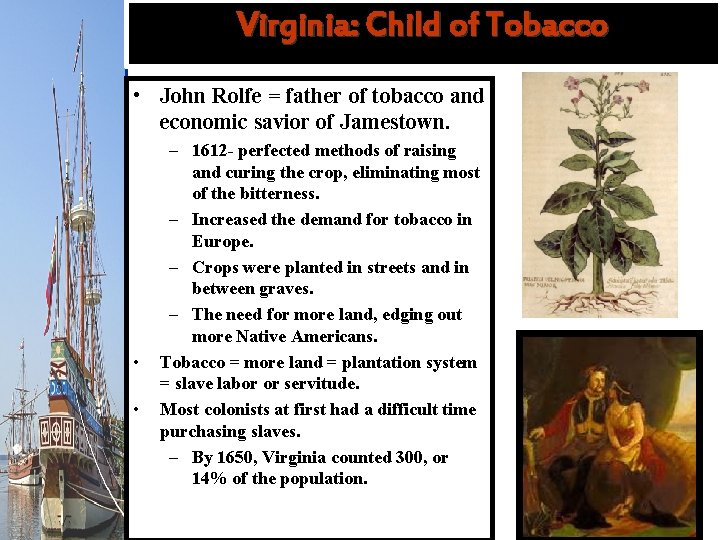 Virginia: Child of Tobacco • John Rolfe = father of tobacco and economic savior