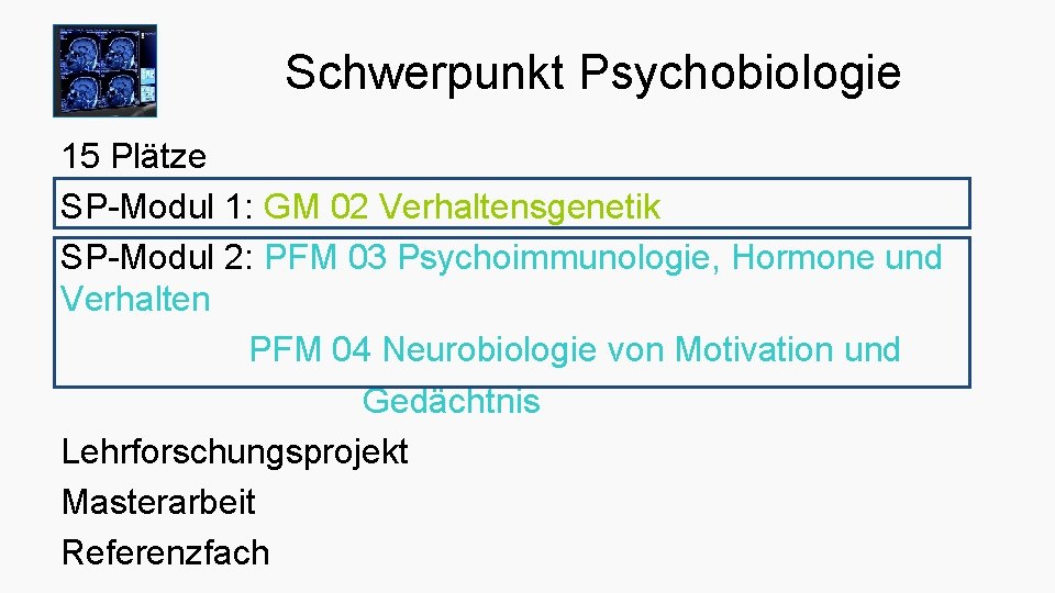 Schwerpunkt Psychobiologie 15 Plätze SP-Modul 1: GM 02 Verhaltensgenetik SP-Modul 2: PFM 03 Psychoimmunologie,