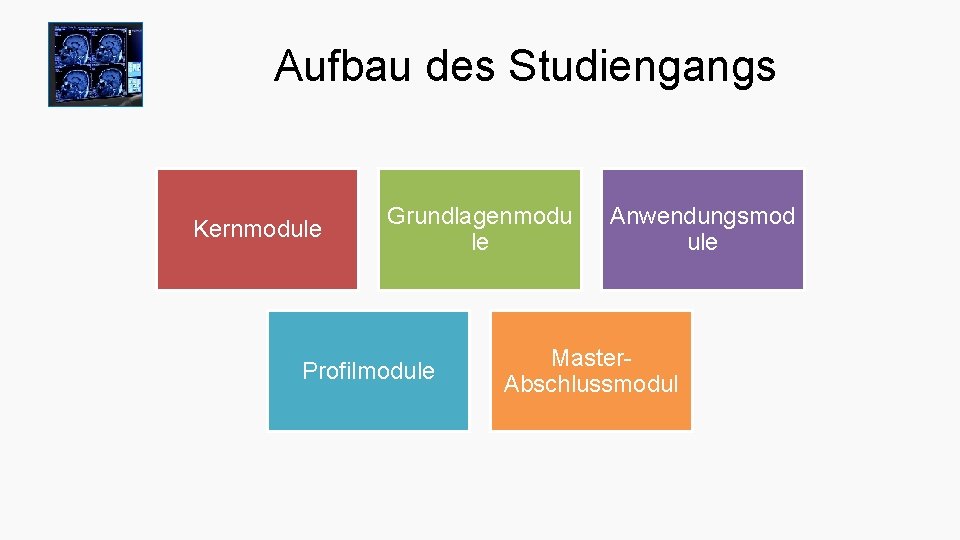 Aufbau des Studiengangs Kernmodule Grundlagenmodu le Profilmodule Anwendungsmod ule Master. Abschlussmodul 