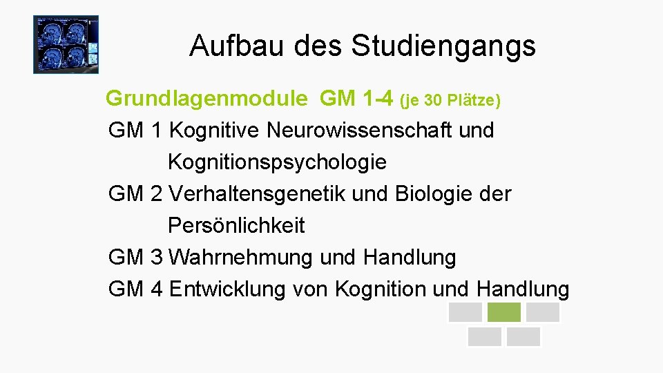 Aufbau des Studiengangs Grundlagenmodule GM 1 -4 (je 30 Plätze) GM 1 Kognitive Neurowissenschaft