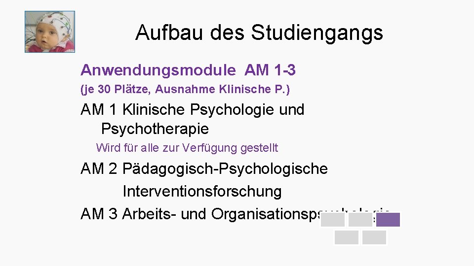 Aufbau des Studiengangs Anwendungsmodule AM 1 -3 (je 30 Plätze, Ausnahme Klinische P. )