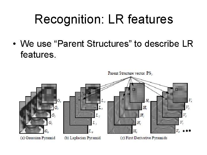 Recognition: LR features • We use “Parent Structures” to describe LR features. 