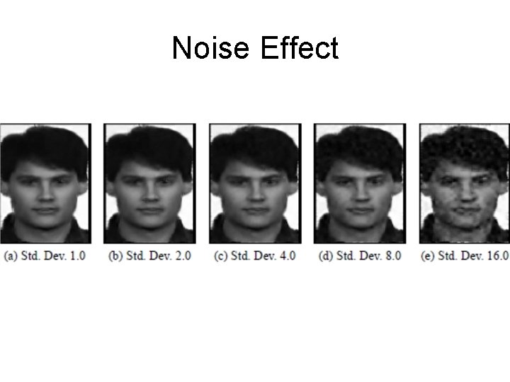 Noise Effect 