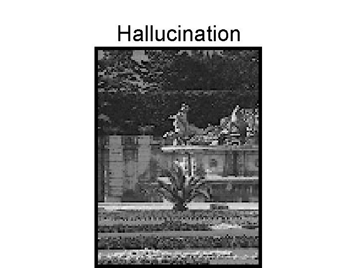 Hallucination 