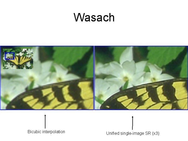 Wasach Bicubic interpolation Unified single-image SR (x 3) 