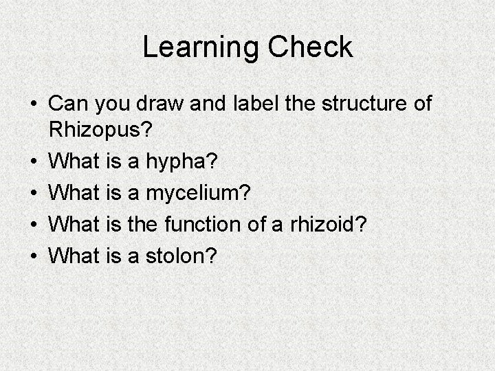 Learning Check • Can you draw and label the structure of Rhizopus? • What