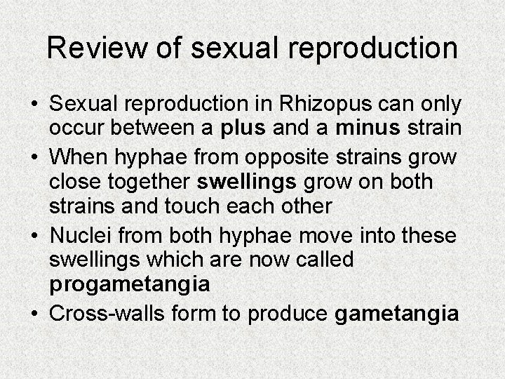 Review of sexual reproduction • Sexual reproduction in Rhizopus can only occur between a